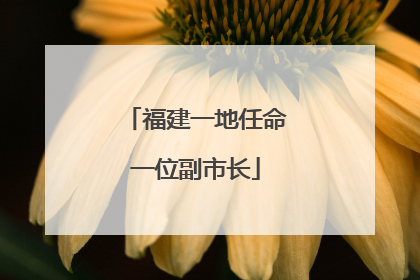 福建一地任命一位副市长