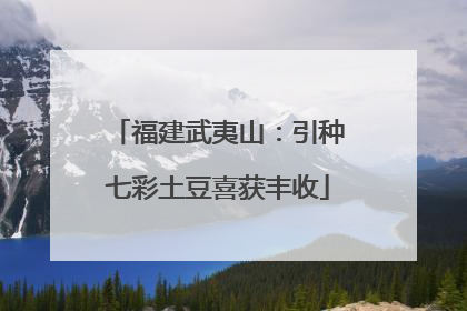 福建武夷山：引种七彩土豆喜获丰收