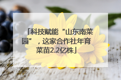 科技赋能“山东南菜园”，这家合作社年育菜苗2.2亿株
