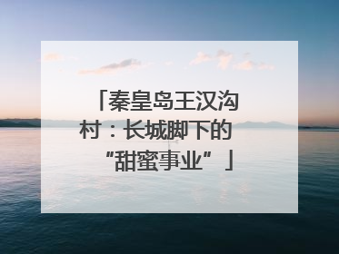 秦皇岛王汉沟村：长城脚下的“甜蜜事业”