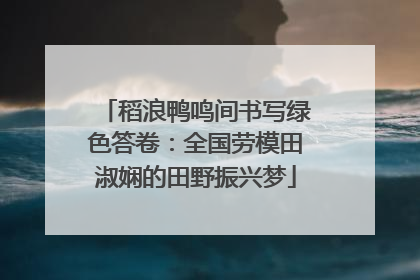 稻浪鸭鸣间书写绿色答卷：全国劳模田淑娴的田野振兴梦