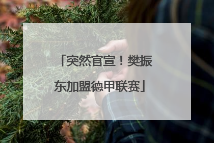 突然官宣！樊振东加盟德甲联赛