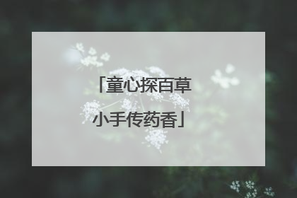 童心探百草 小手传药香