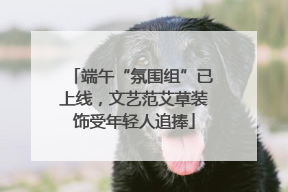 端午“氛围组”已上线，文艺范艾草装饰受年轻人追捧