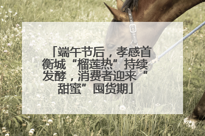 端午节后，孝感首衡城“榴莲热”持续发酵，消费者迎来“甜蜜”囤货期