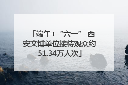 端午+“六一” 西安文博单位接待观众约51.34万人次