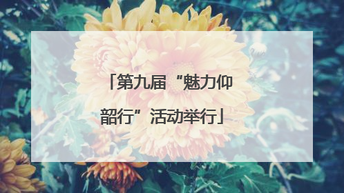 第九届“魅力仰韶行”活动举行