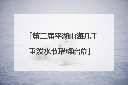 第二届平湖山海几千重泼水节璀璨启幕