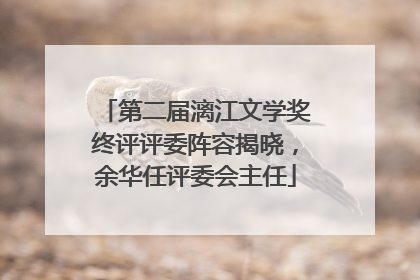 第二届漓江文学奖终评评委阵容揭晓，余华任评委会主任