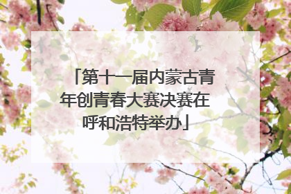第十一届内蒙古青年创青春大赛决赛在呼和浩特举办