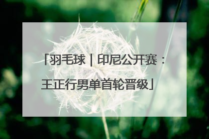 羽毛球｜印尼公开赛：王正行男单首轮晋级