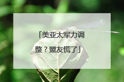 美亚太军力调整？盟友慌了