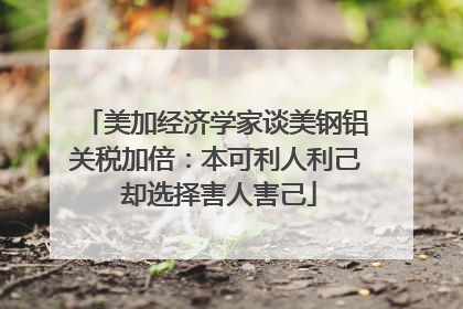 美加经济学家谈美钢铝关税加倍：本可利人利己 却选择害人害己