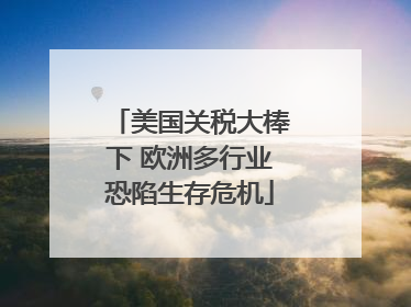 美国关税大棒下 欧洲多行业恐陷生存危机
