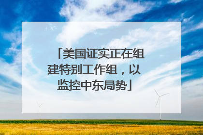 美国证实正在组建特别工作组，以监控中东局势