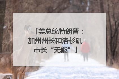美总统特朗普：加州州长和洛杉矶市长“无能”