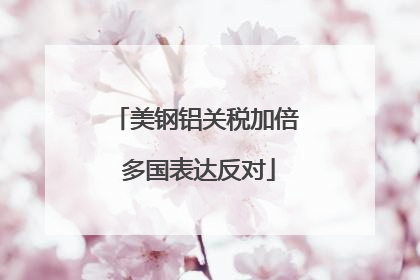 美钢铝关税加倍 多国表达反对