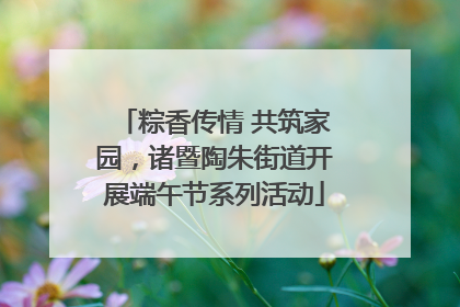 粽香传情 共筑家园，诸暨陶朱街道开展端午节系列活动
