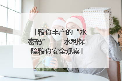 粮食丰产的“水密码”——水利保障粮食安全观察