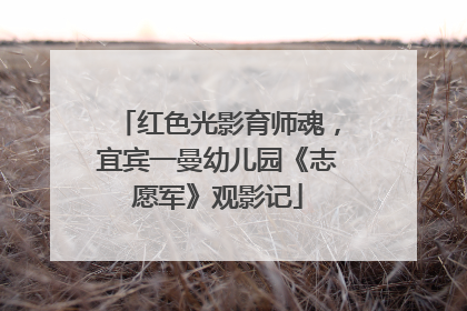 红色光影育师魂，宜宾一曼幼儿园《志愿军》观影记