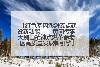 红色基因澎湃支点建设新动能——黄冈传承大别山精神点燃革命老区高质量发展新引擎