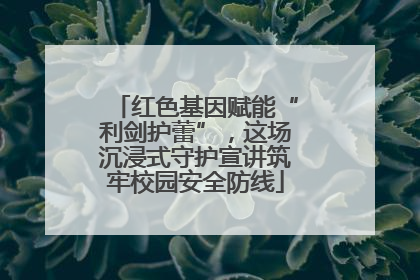 红色基因赋能“利剑护蕾”，这场沉浸式守护宣讲筑牢校园安全防线