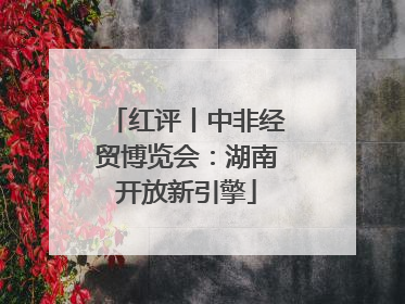 红评丨中非经贸博览会：湖南开放新引擎