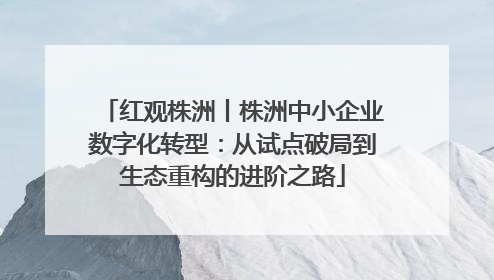 红观株洲丨株洲中小企业数字化转型：从试点破局到生态重构的进阶之路