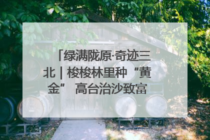 绿满陇原·奇迹三北｜梭梭林里种“黄金” 高台治沙致富很“从容”