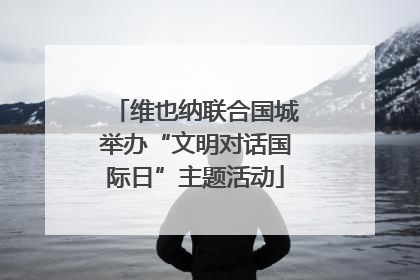 维也纳联合国城举办“文明对话国际日”主题活动
