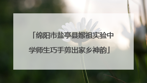 绵阳市盐亭县嫘祖实验中学师生巧手剪出家乡神韵