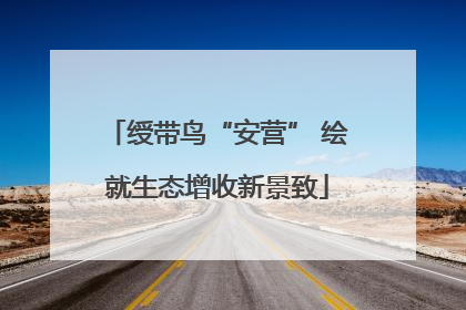 绶带鸟“安营” 绘就生态增收新景致