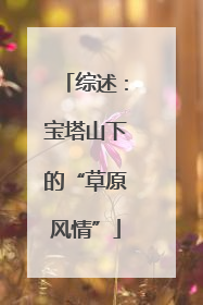 综述：宝塔山下的“草原风情”