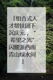 组合式人才帮扶团下沉庆元，“希望之光”闪耀浙西南青山绿水间