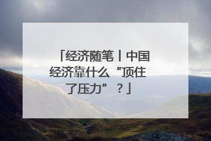 经济随笔丨中国经济靠什么“顶住了压力”？