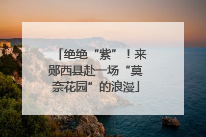 绝绝“紫”！来郧西县赴一场“莫奈花园”的浪漫