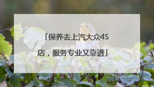 保养去上汽大众4S店，服务专业又靠谱