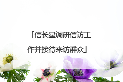 信长星调研信访工作并接待来访群众