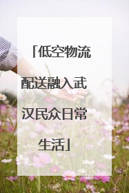 低空物流配送融入武汉民众日常生活