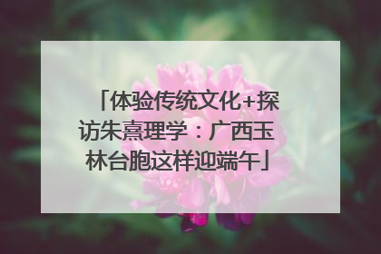 体验传统文化+探访朱熹理学：广西玉林台胞这样迎端午