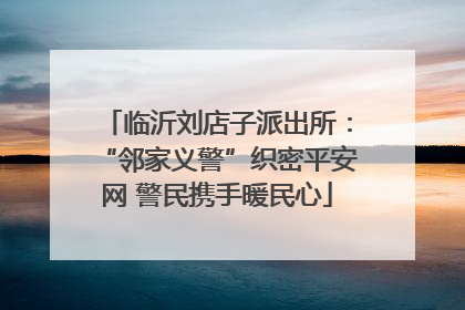 临沂刘店子派出所：“邻家义警”织密平安网 警民携手暖民心