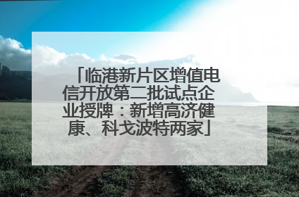 临港新片区增值电信开放第二批试点企业授牌：新增高济健康、科戈波特两家