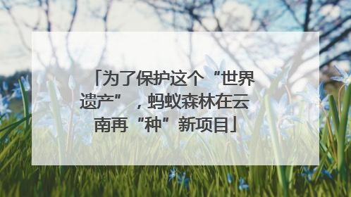 为了保护这个“世界遗产”，蚂蚁森林在云南再“种”新项目