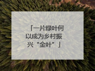 一片绿叶何以成为乡村振兴“金叶”
