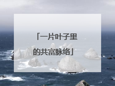 一片叶子里的共富脉络