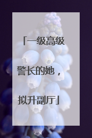 一级高级警长的她，拟升副厅