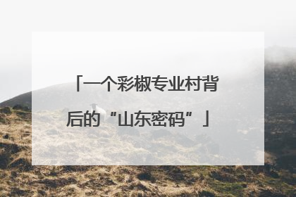 一个彩椒专业村背后的“山东密码”