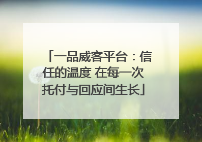 一品威客平台：信任的温度 在每一次托付与回应间生长