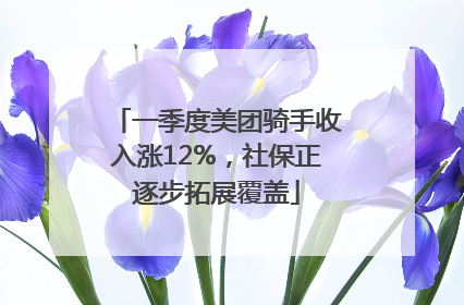 一季度美团骑手收入涨12%，社保正逐步拓展覆盖
