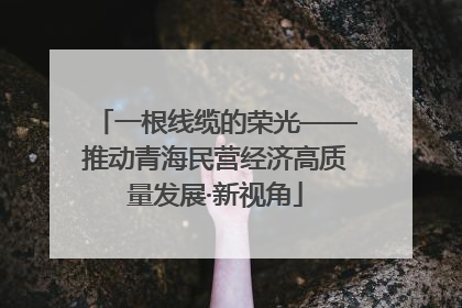 一根线缆的荣光——推动青海民营经济高质量发展·新视角